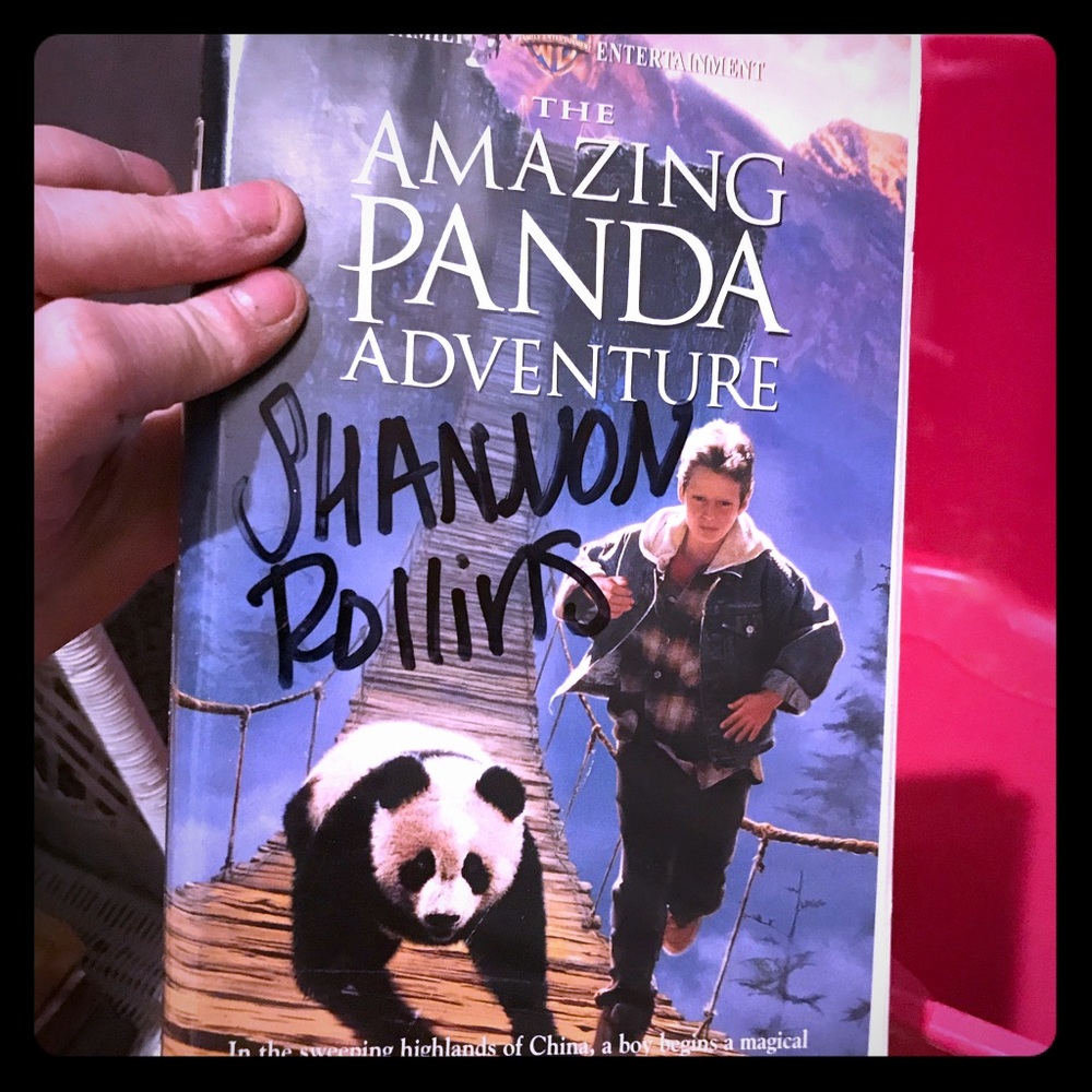 Amazing panda adventure vhs